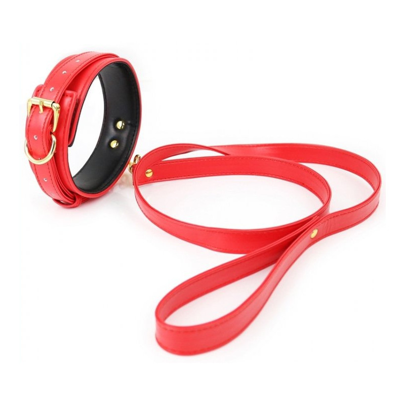 Generique Collier et Laisse Lighty Rouge